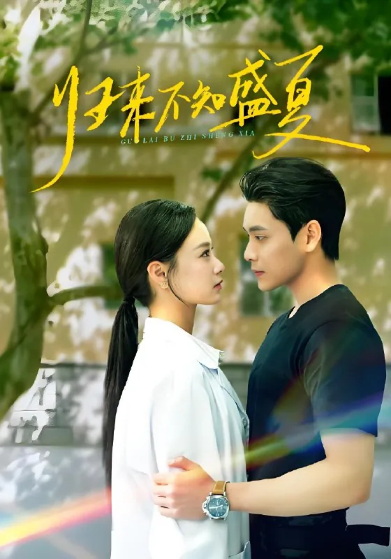 归来不知盛夏 短剧