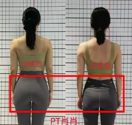 11天腰臀腿塑形课
