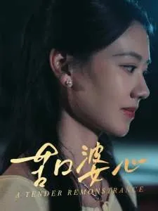 苦口婆心 电视剧