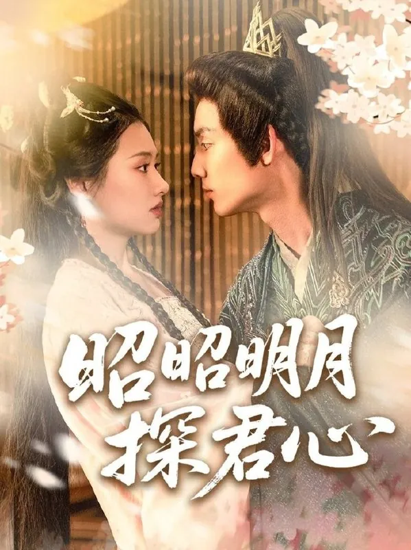 半生归来与君逢