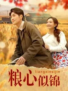 粮心似锦 电视剧
