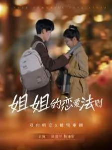 姐姐的恋爱法则 电视剧