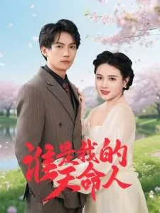 谁是我的天命人 电视剧